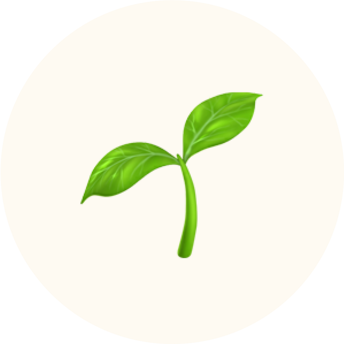 Young plant with two leaves on a white background symbolizing Lebubè vegan, cruelty free and +80% natural clean makeup